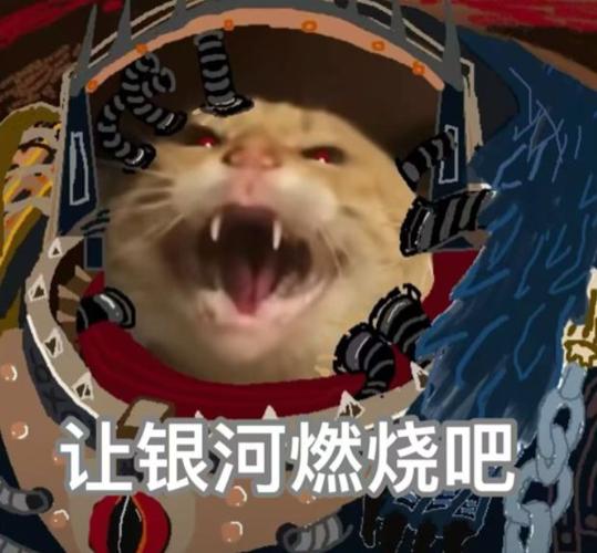 银河熟啦表情包