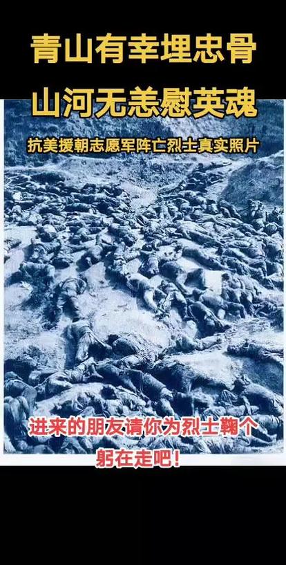 战地记者牺牲算烈士吗
