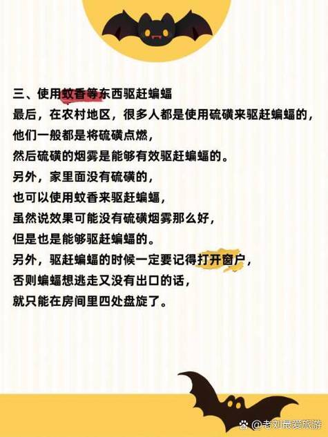 蝙蝠飞进房间里怎么弄出去