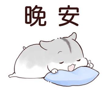 说晚安表情包