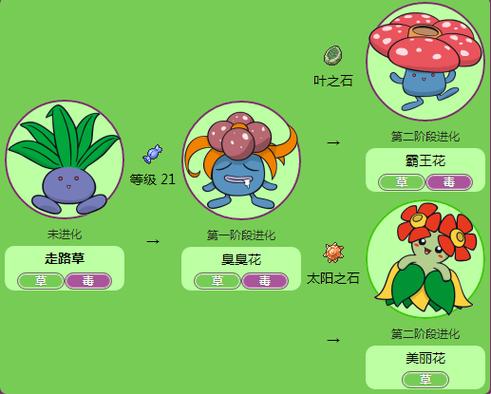 口袋妖怪数据库