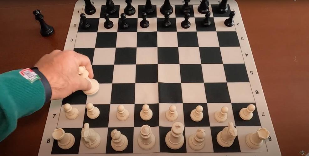 chessbase书籍