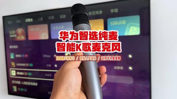 华为电视k歌都有哪些麦克风