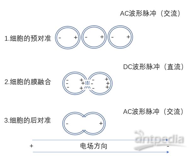 接触融合截图3