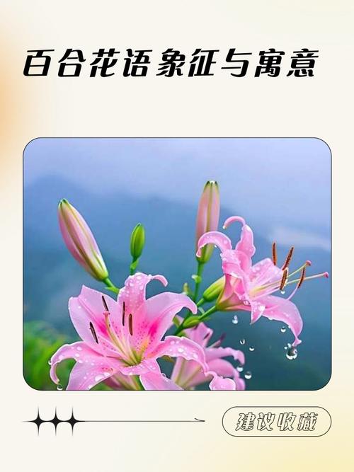 百花齐放的意思是什么意思