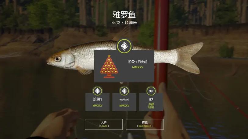 俄钓4会员有什么用