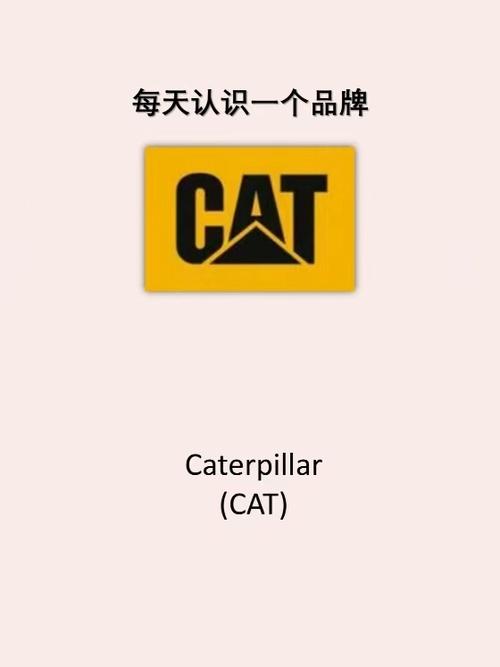 cat的中文