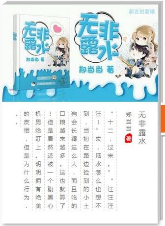 汤圆创作小说大全