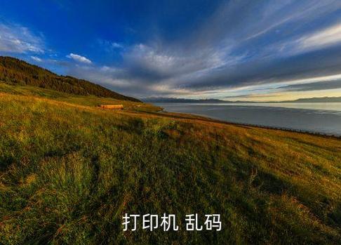 打印小票出现乱码是什么情况