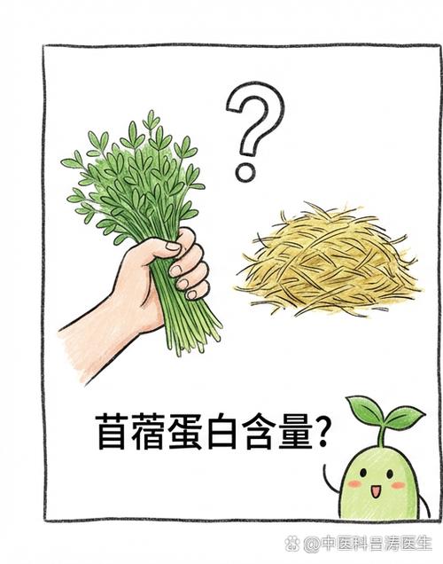 苜蓿蛋白质含量