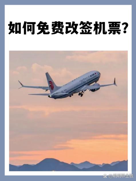 机票可以临时改签吗截图3