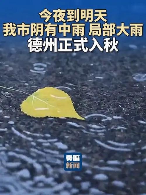 德州明天将有大雨