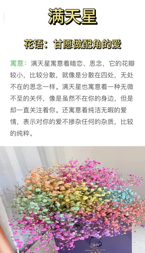 满天星花语贺卡话语