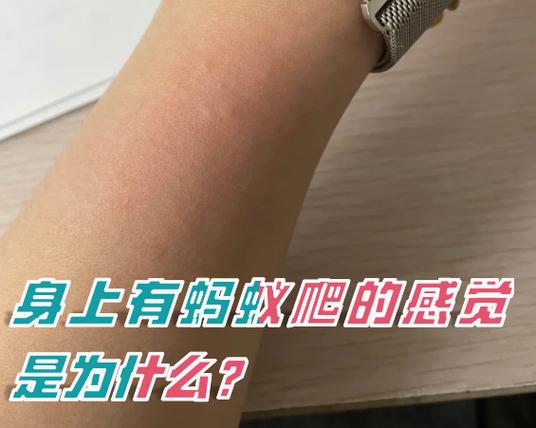 身上有蚂蚁爬的感觉是怎么回事截图2