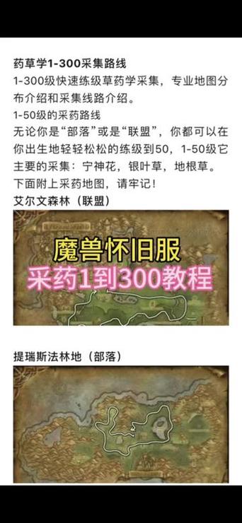 部落草药学225去哪学高级的