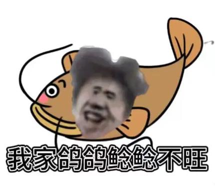 网络用语ikun的梗