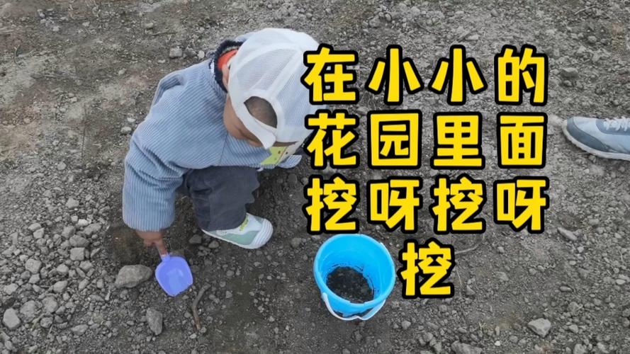 花园里面挖呀挖