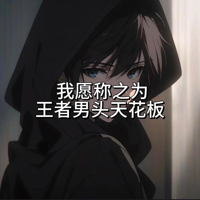 王者高端局必备头像