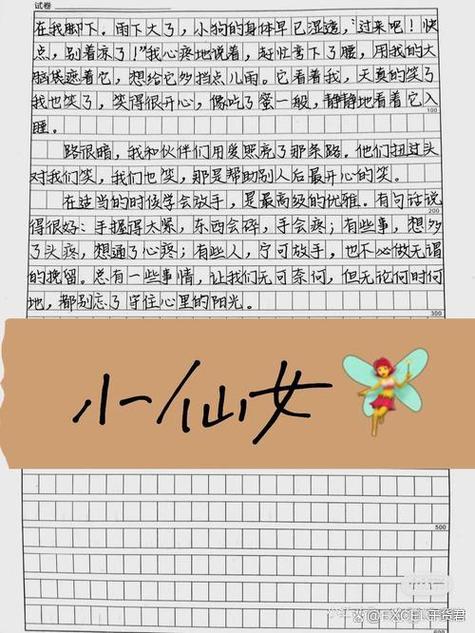 我变成了一双鞋子作文