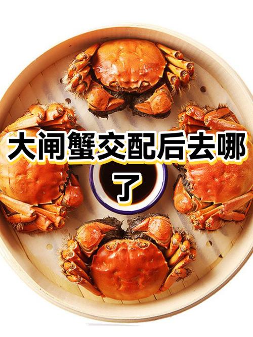 公蟹配种后就会死吗