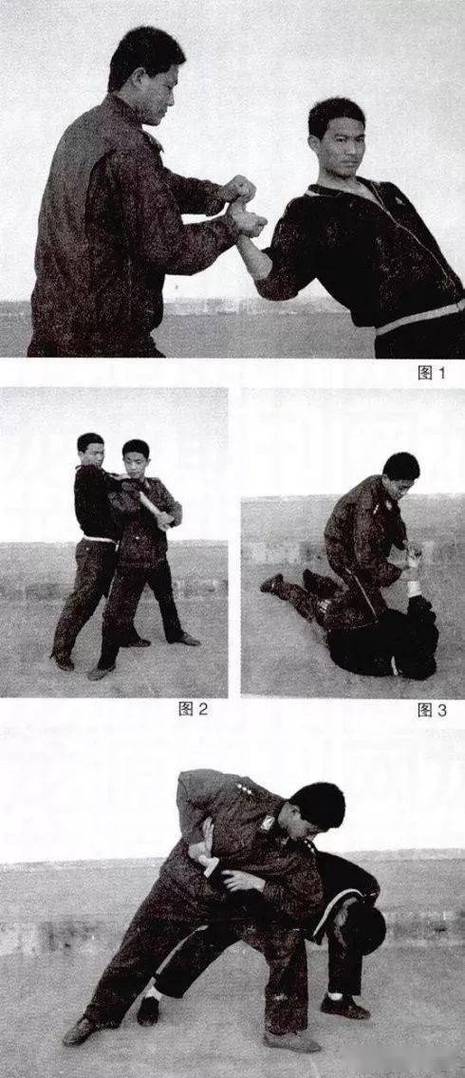 一什么二什么三擒拿