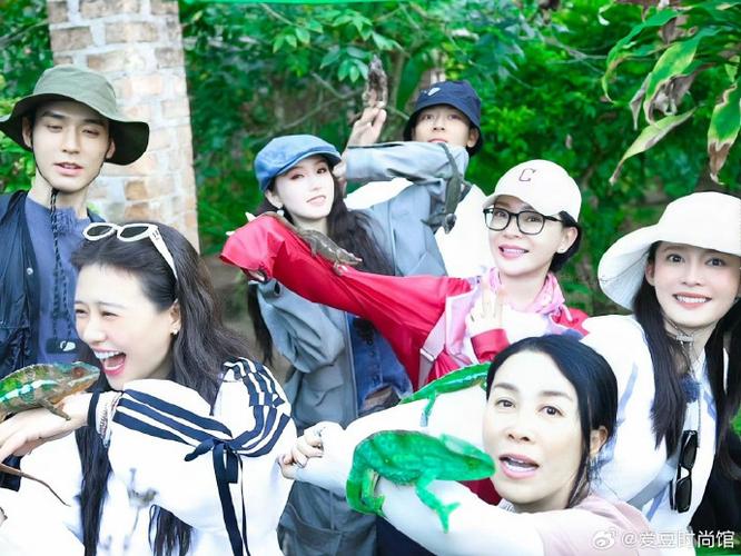 老版花儿与少年截图2