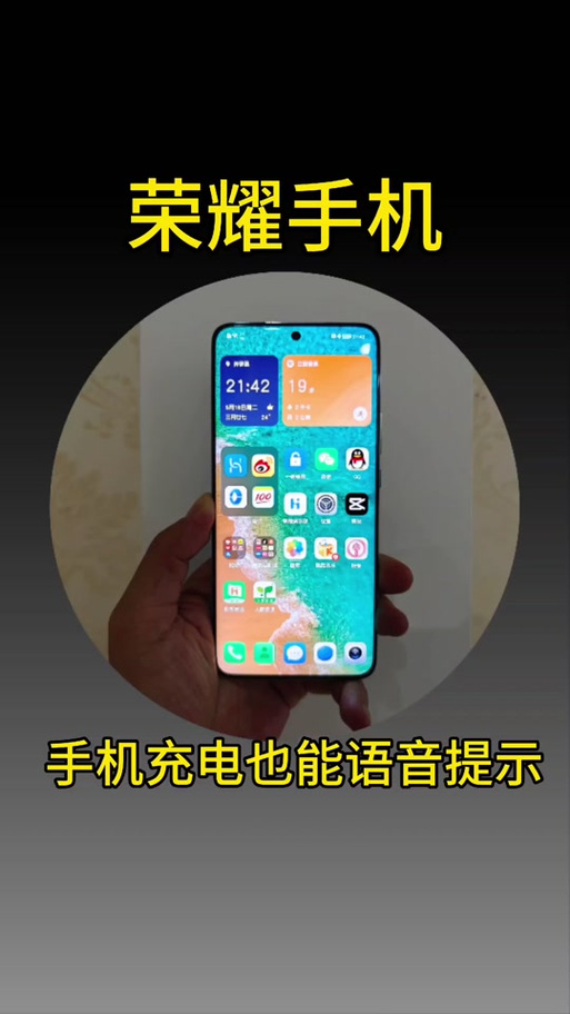 荣耀magic6怎么快速充电截图2