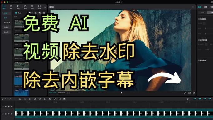 视频去文字一键去除