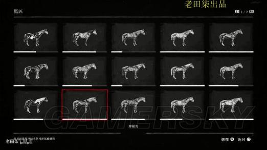 荒野大镖客2好看的马
