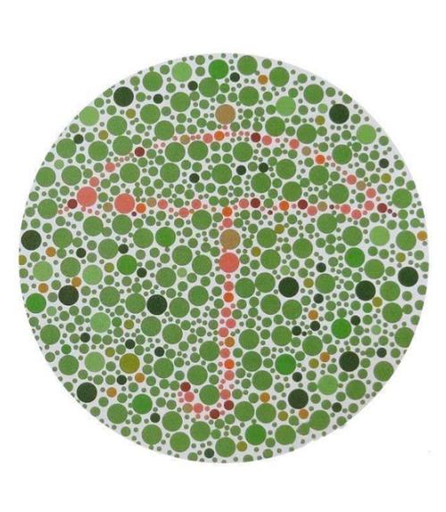 颜色测试分辨能力截图3