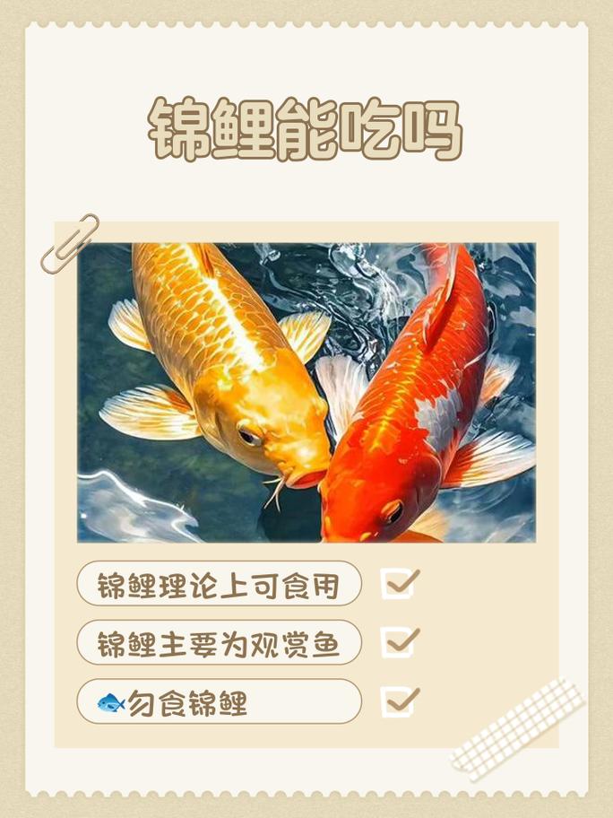 微鲤看看安全可靠吗