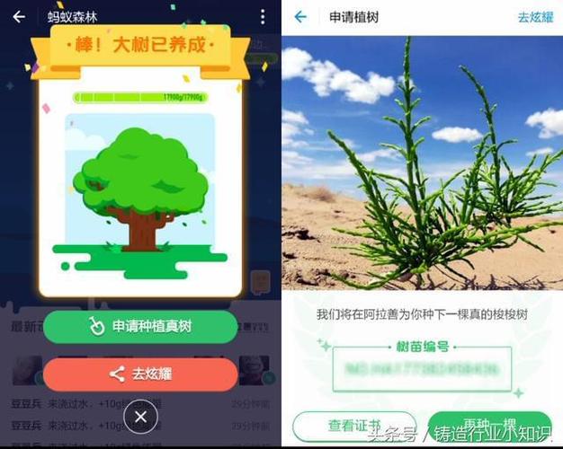 支付宝浇水种树有什么用