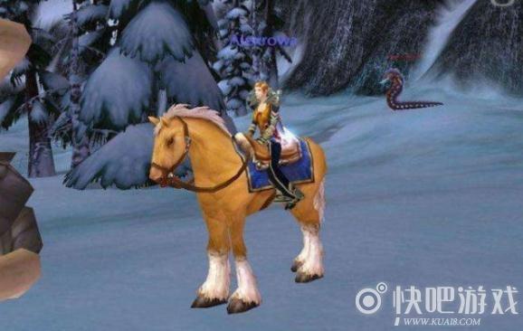魔兽小马多少g