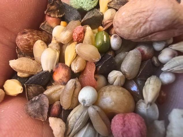 自制仓鼠小零食最简单的