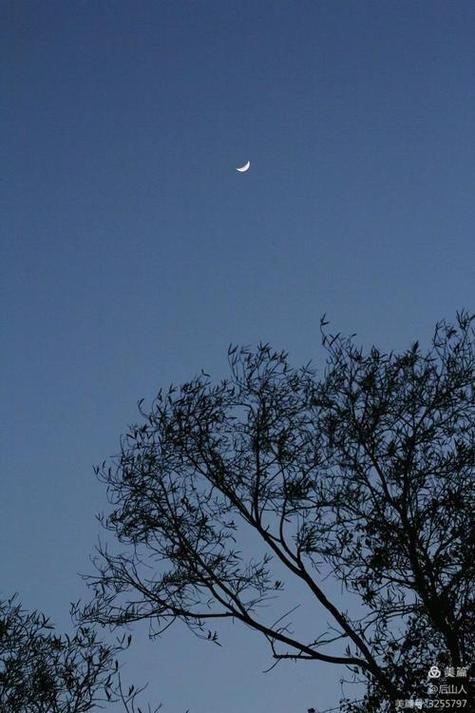 长夜应明月