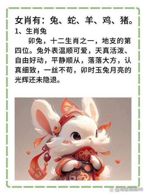 兔肖是哪几个生肖呢