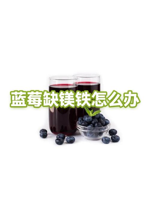 蓝莓过敏怎么办