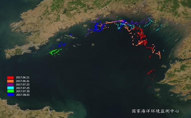 海岸线网无弹窗