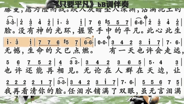 音乐伴奏曲库