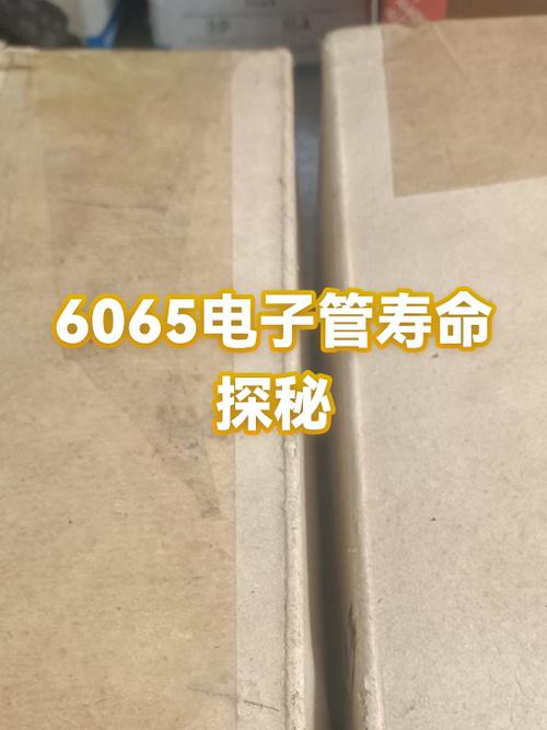 设十个电子管的寿命