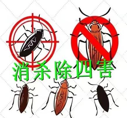 完美害虫手机版下载教程