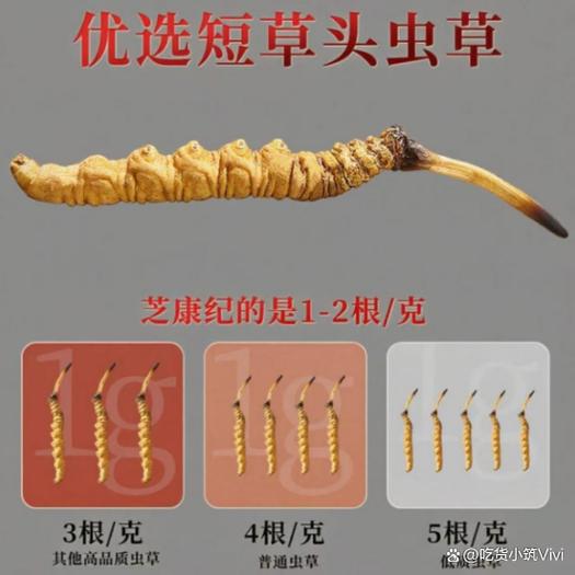 中国十大冬虫夏草品牌