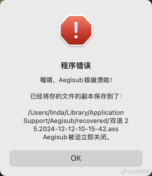 苹果x打开软件闪退