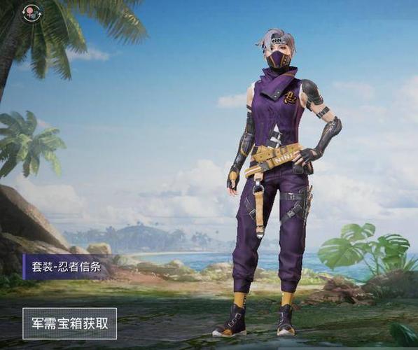 和平精英忍者信条套装