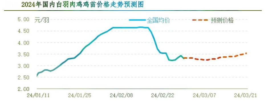 2023年鸡价格行情