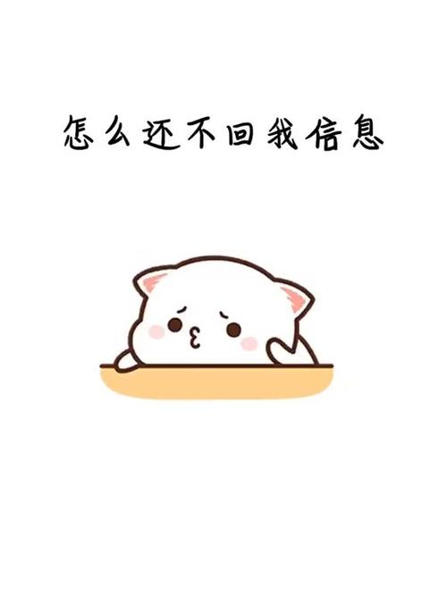 怎么还不回来表情包截图3