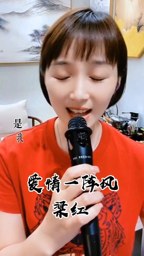 梁红全部歌曲 梁红全部歌曲
