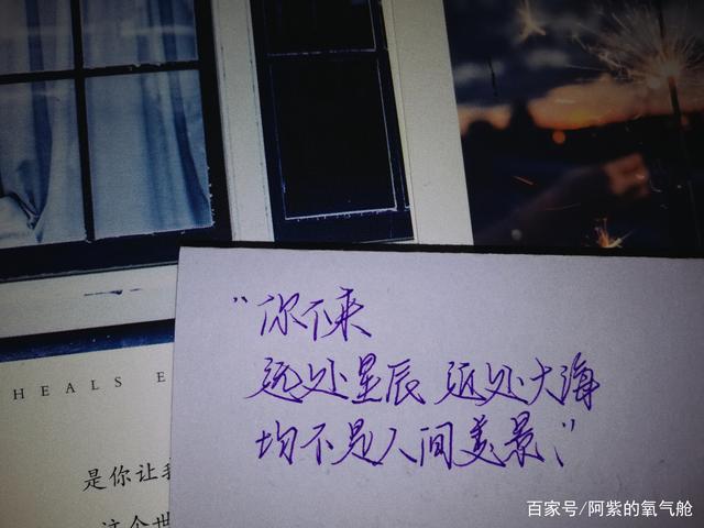 遇见你从此星河长明下一句图标