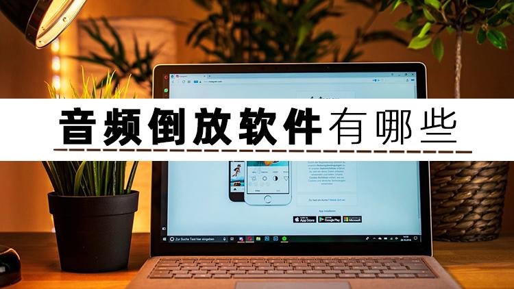 语音倒放器截图3