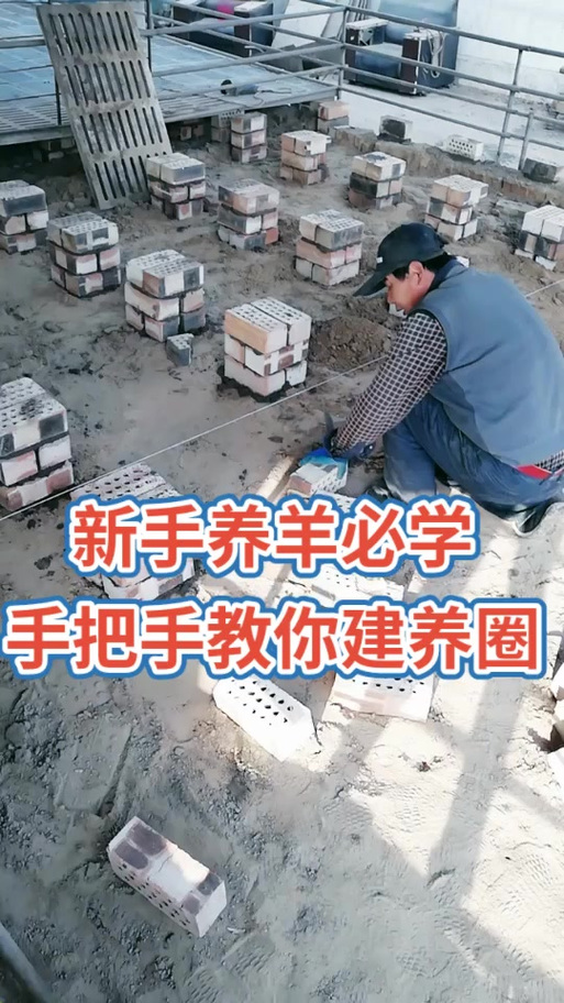 羊圈的最新搭建方法